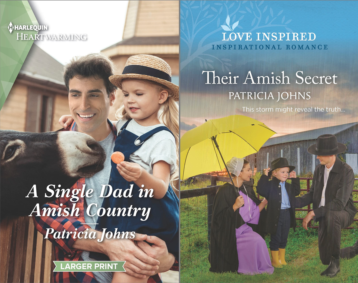 Interview With Patricia Johns (A Single Dad In Amish Country And Their ...